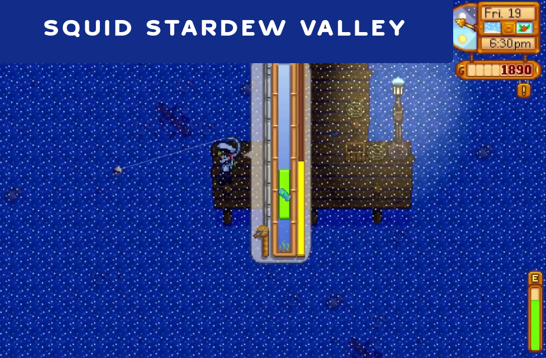 Interesting information about the Squid Stardew Valley