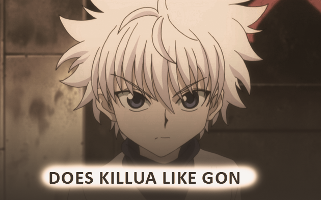 Negative things Killua and Gon have done to each other