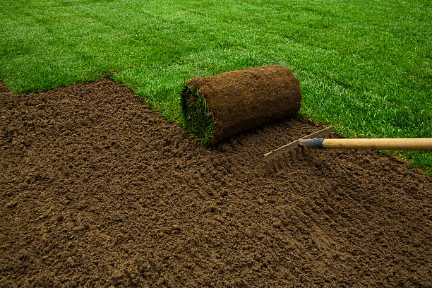 Emerald Zoysia Boost Value of Your Property
