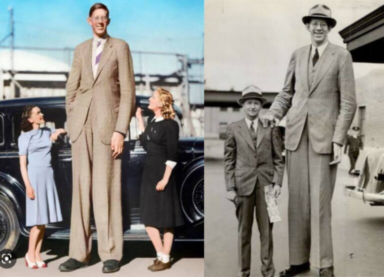 Who was the tallest person in the world